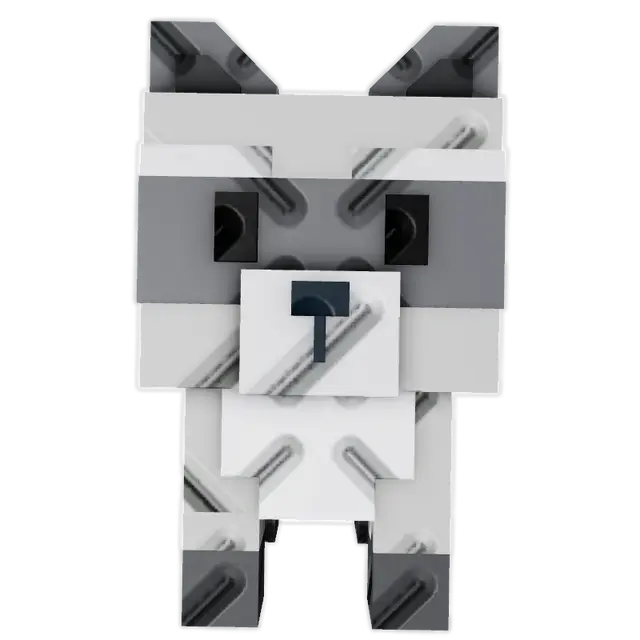 Raccoon